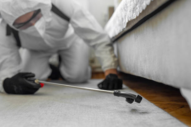 Professional Bed Bug Control technician working in East Helena, MT