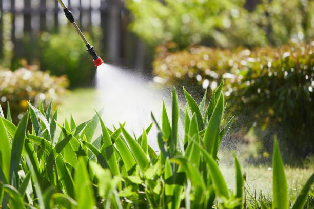 24/7 Emergency Bed Bug Control experts in East Helena, MT