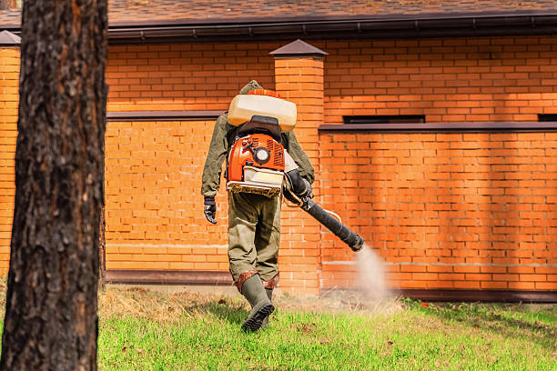 Trusted Termite Control service in East Helena, MT - Nex Pest Control